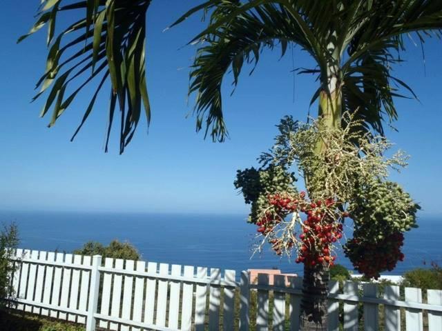 Les Kreol'Inns Chalets De Charme Saint-Leu Luaran gambar